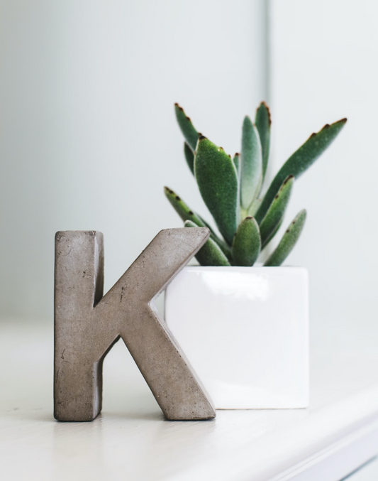 letter k structure placed in front of a houseplant