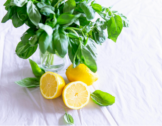 3 sliced lemons with leafy plant behind them
