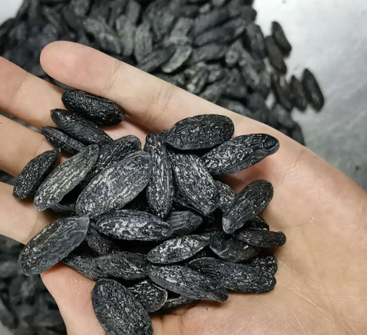 hand holding tonka beans