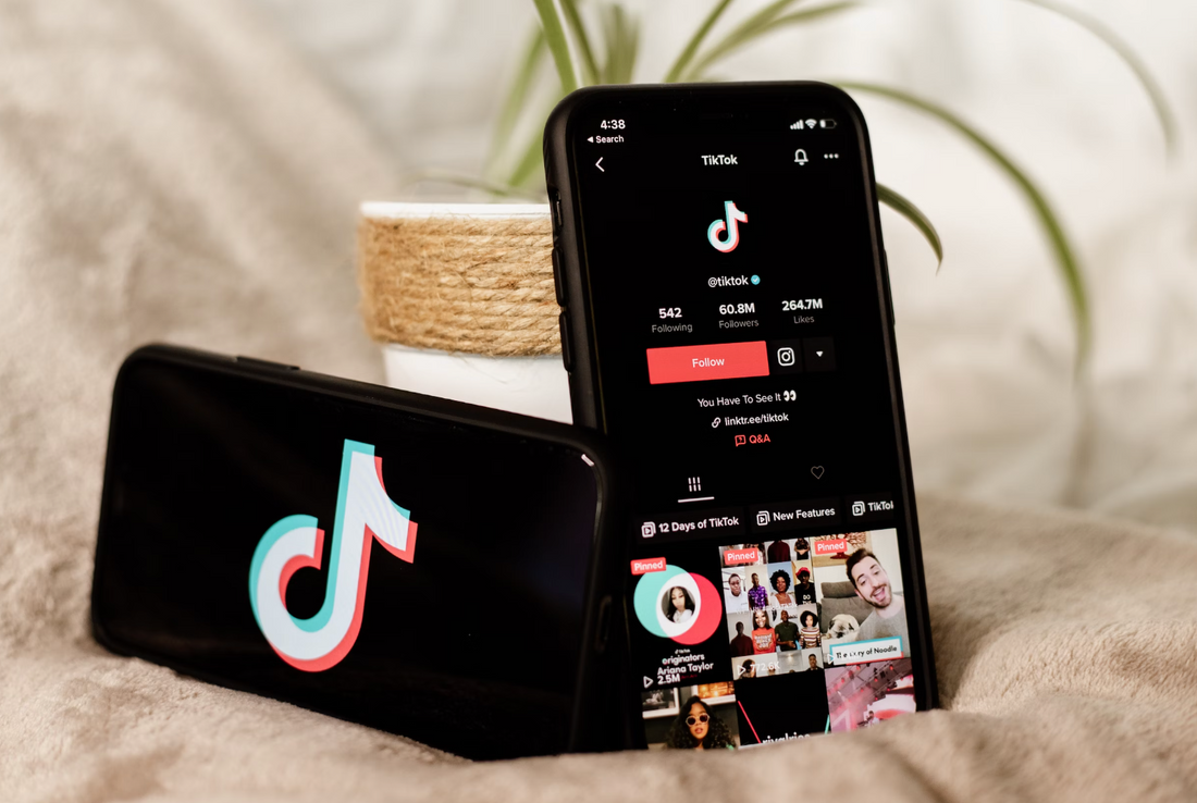 two black mobile phones with tiktok app open and laying in front of a plant