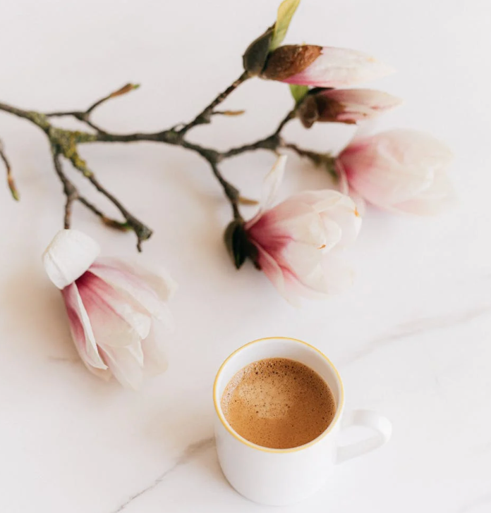 photo of a blooming flower branch and a cup of coffee