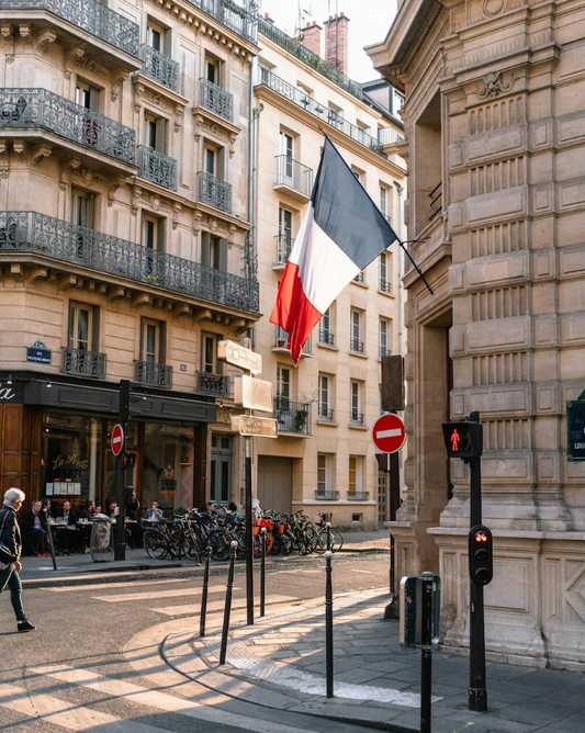 a photo of a street in paris france with the french flag waving